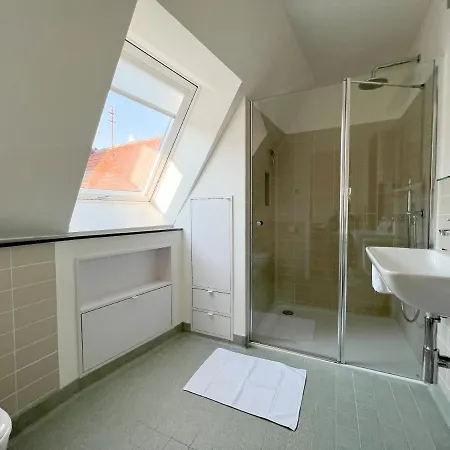 Apartment Schoenes Single Dachgeschoss-apartment Mit Mainblick
