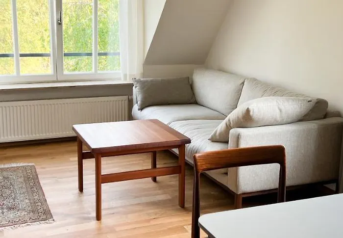 Schoenes Single Dachgeschoss-apartment Mit Mainblick 公寓